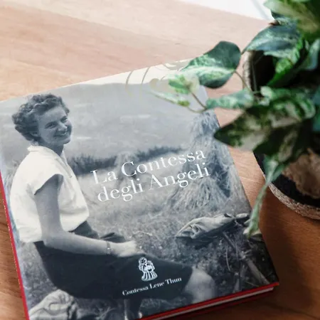 Appartement Degli Angeli - By Myhomeincomo Lenno